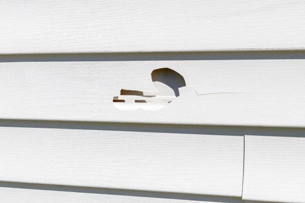 Best Wood Siding Installation  in Centre Grove, NJ