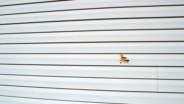 Best Brick Veneer Siding  in Centre Grove, NJ